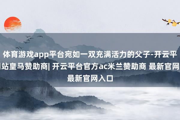 体育游戏app平台宛如一双充满活力的父子-开云平台网站皇马赞助商| 开云平台官方ac米兰赞助商 最新官网入口