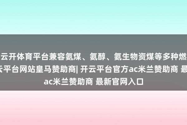 云开体育平台兼容氨煤、氨醇、氨生物资煤等多种燃料体系-开云平台网站皇马赞助商| 开云平台官方ac米兰赞助商 最新官网入口