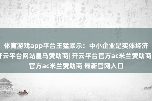 体育游戏app平台王猛默示：中小企业是实体经济的活力泉源-开云平台网站皇马赞助商| 开云平台官方ac米兰赞助商 最新官网入口